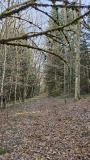 2024-02 LesRoches 