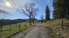 2024-02 LesRoches 