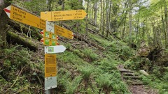 2024-05 Chasseral 