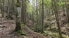 2024-05 Chasseral 