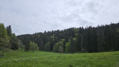 20240526_114617