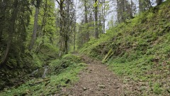 2024-05 Chasseral 