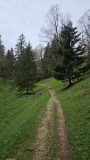 2024-05 Chasseral 