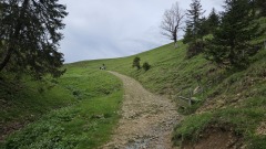 2024-05 Chasseral 