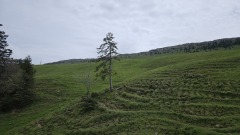 2024-05 Chasseral 