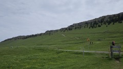 2024-05 Chasseral 