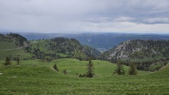 2024-05 Chasseral 