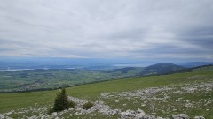 2024-05 Chasseral 