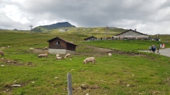 2024-08 Sardona 