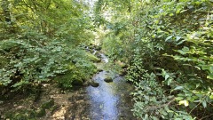 2024-08 Wolfsschlucht