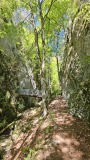 2024-08 Wolfsschlucht