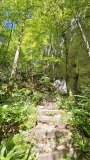 2024-08 Wolfsschlucht