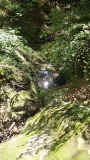 2024-08 Wolfsschlucht