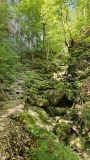 2024-08 Wolfsschlucht