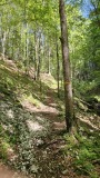 2024-08 Wolfsschlucht