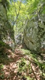 2024-08 Wolfsschlucht