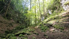 2024-08 Wolfsschlucht