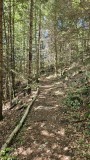 2024-08 Wolfsschlucht