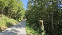 2024-08 Wolfsschlucht