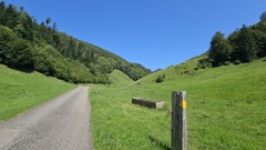 2024-08 Wolfsschlucht