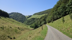 2024-08 Wolfsschlucht
