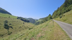 2024-08 Wolfsschlucht
