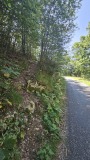 2024-08 Wolfsschlucht
