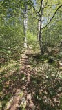 2024-08 Wolfsschlucht