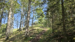 2024-08 Wolfsschlucht
