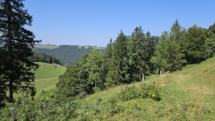 2024-08 Wolfsschlucht