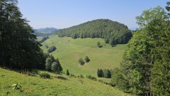 2024-08 Wolfsschlucht