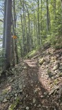 2024-08 Wolfsschlucht