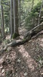 2024-08 Wolfsschlucht