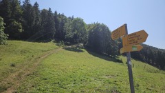 2024-08 Wolfsschlucht