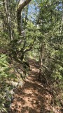 2024-08 Wolfsschlucht